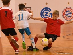 mini-2017-01-28-DSC_3357